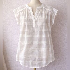 Banana Republic - Sheer Blouse
